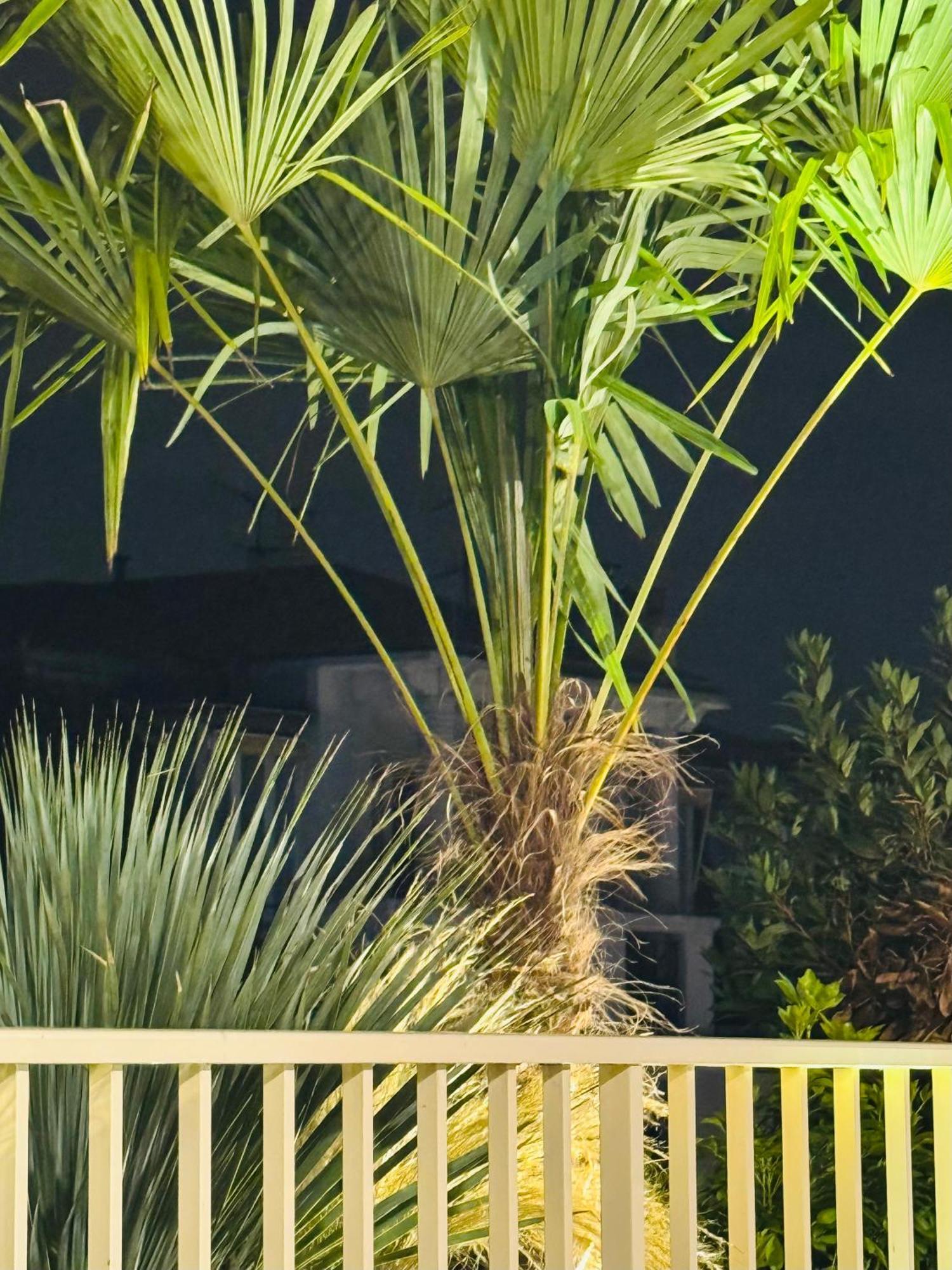 Les Terrasses De L Arc